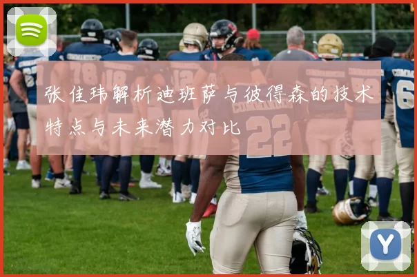 张佳玮解析迪班萨与彼得森的技术特点与未来潜力对比